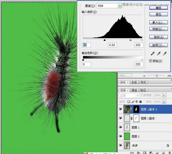 Photoshop使用抽出滤镜抠出多刺的毛虫