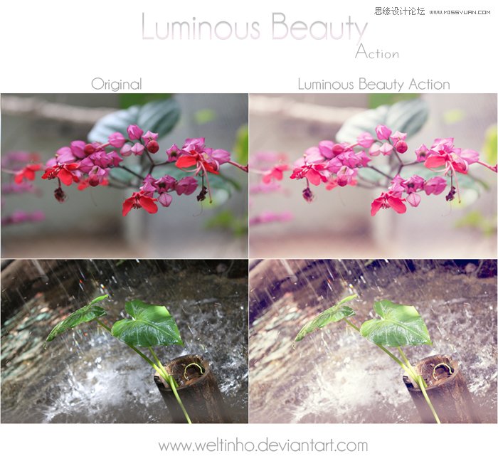Luminous Beauty Photoshop Action