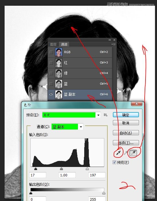 Photoshop使用应用图像给证件照背景换成白色,PS教程,图老师教程网