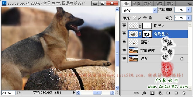 Photoshop合成正在埋伏打CS的神犬狙击手,PS教程,图老师教程网