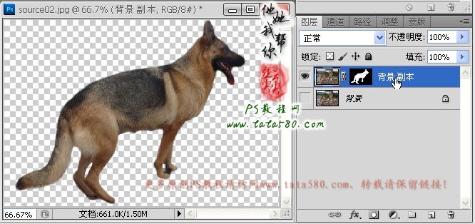 Photoshop合成正在埋伏打CS的神犬狙击手,PS教程,图老师教程网