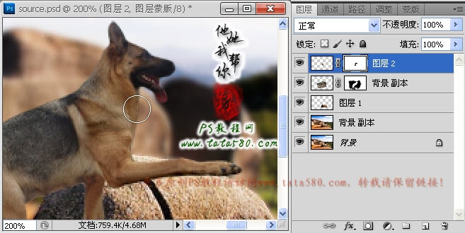 Photoshop合成正在埋伏打CS的神犬狙击手,PS教程,图老师教程网