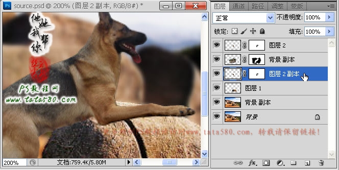 Photoshop合成正在埋伏打CS的神犬狙击手,PS教程,图老师教程网