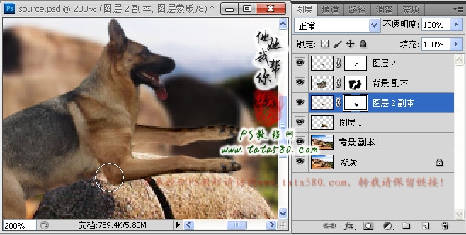 Photoshop合成正在埋伏打CS的神犬狙击手,PS教程,图老师教程网