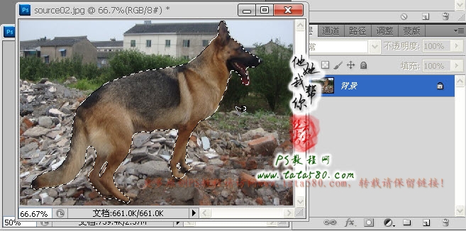 Photoshop合成正在埋伏打CS的神犬狙击手,PS教程,图老师教程网