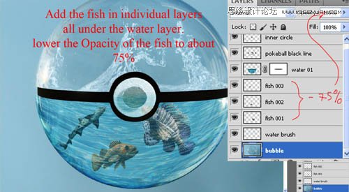 Photoshop合成水晶球里面的海洋世界,PS教程,图老师教程网