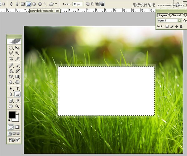 Photoshop设计清新风格绿色登陆框教程,PS教程,图老师教程网