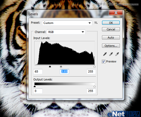 Photoshop罦Чϻ̳