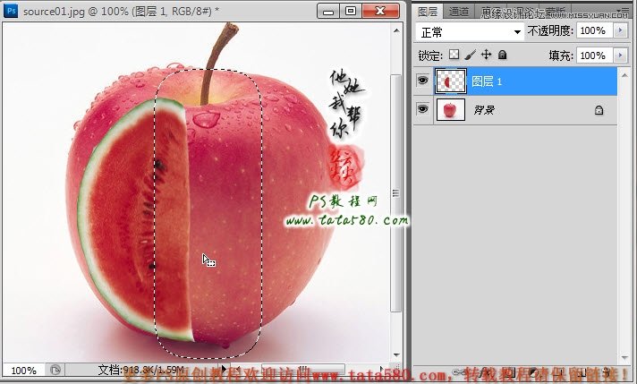 Photoshop移花接木给西瓜和苹果完美嫁接,PS教程,图老师教程网