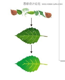 CorelDRAW解析网状填充运用教程