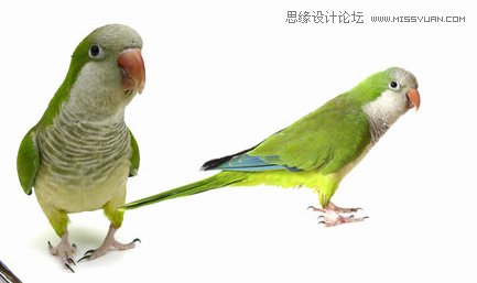 Photoshop合成唯美风格的婚纱照片,PS教程,图老师教程网