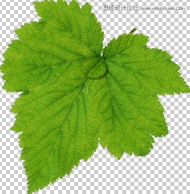 PhotoshopҶϹˮ