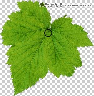 PhotoshopҶϹˮ