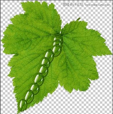 PhotoshopҶϹˮ