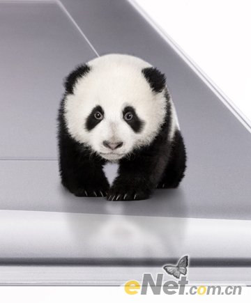 Photoshop设计手绘板上面走动的熊猫场景,PS教程,图老师教程网
