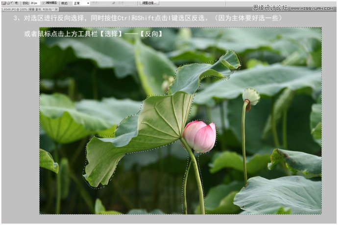 Photoshop给荷花照片更换朦胧背景效果,PS教程,图老师教程网