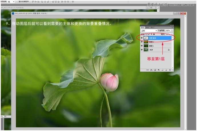 Photoshop给荷花照片更换朦胧背景效果,PS教程,图老师教程网