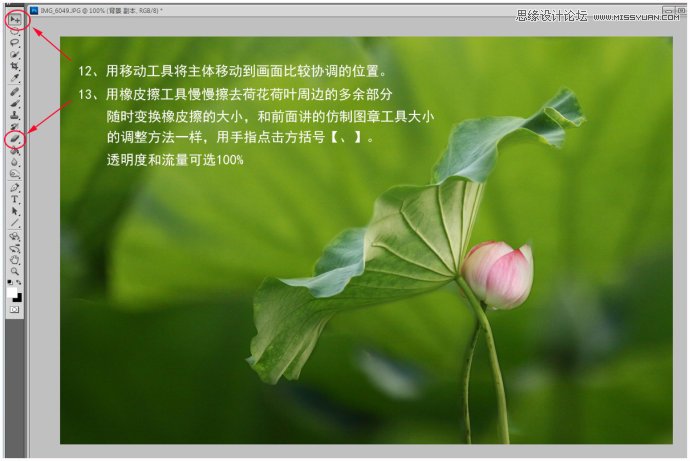 Photoshop给荷花照片更换朦胧背景效果,PS教程,图老师教程网