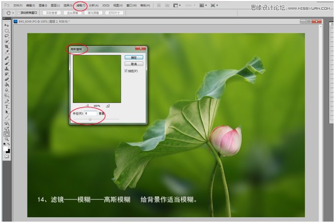 Photoshop给荷花照片更换朦胧背景效果,PS教程,图老师教程网