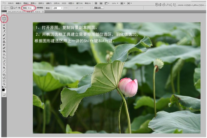 Photoshop给荷花照片更换朦胧背景效果,PS教程,图老师教程网