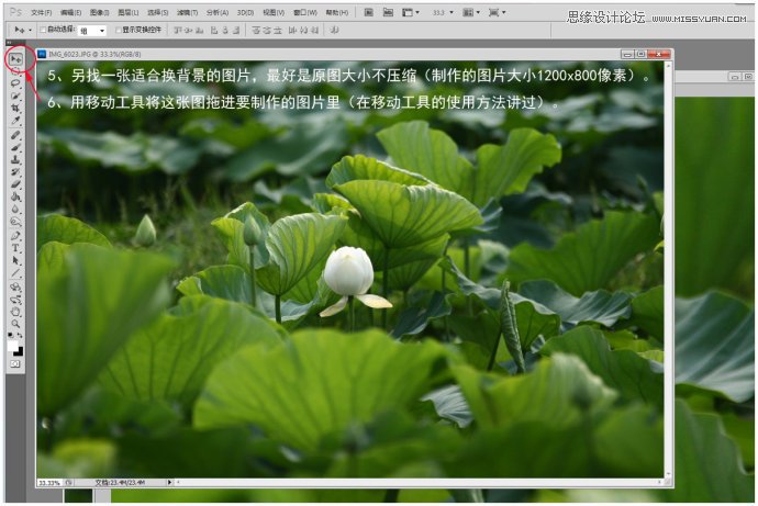 Photoshop给荷花照片更换朦胧背景效果,PS教程,图老师教程网