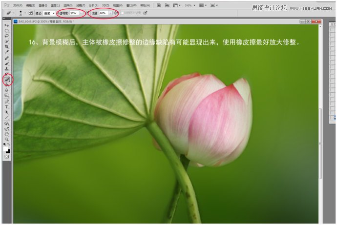 Photoshop给荷花照片更换朦胧背景效果,PS教程,图老师教程网