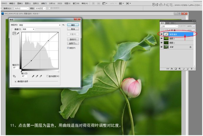 Photoshop给荷花照片更换朦胧背景效果,PS教程,图老师教程网