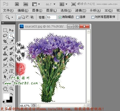 Photoshop合成拿着花朵正在求爱的松鼠,PS教程,图老师教程网