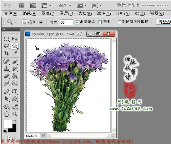 Photoshop合成拿着花朵正在求爱的松鼠,PS教程,图老师教程网