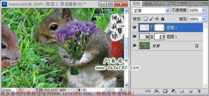 Photoshop合成拿着花朵正在求爱的松鼠,PS教程,图老师教程网