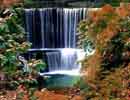 PhotoshopɵٲƬĸ