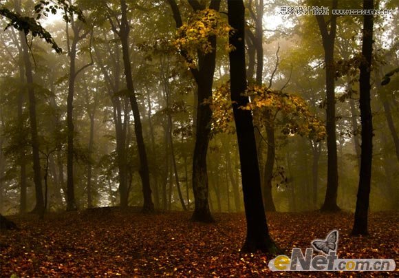 Photoshop使用HDR功能调出梦幻森林场景,PS教程,图老师教程网