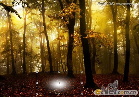 Photoshop使用HDR功能调出梦幻森林场景,PS教程,图老师教程网