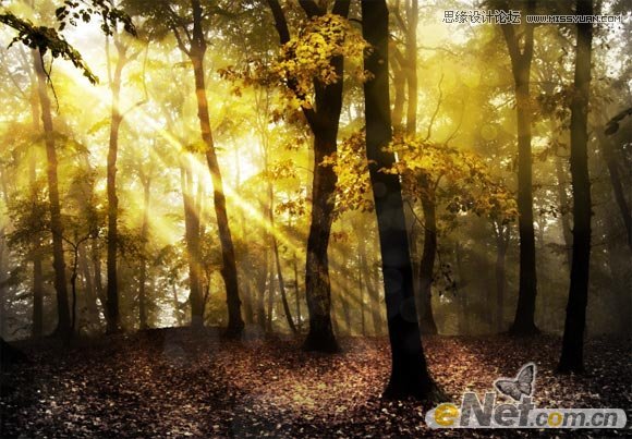 PhotoshopʹHDRܵλɭֳ