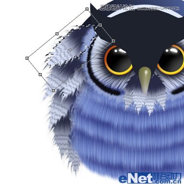 Photoshop绘制可爱的猫头鹰教程,PS教程,图老师教程网