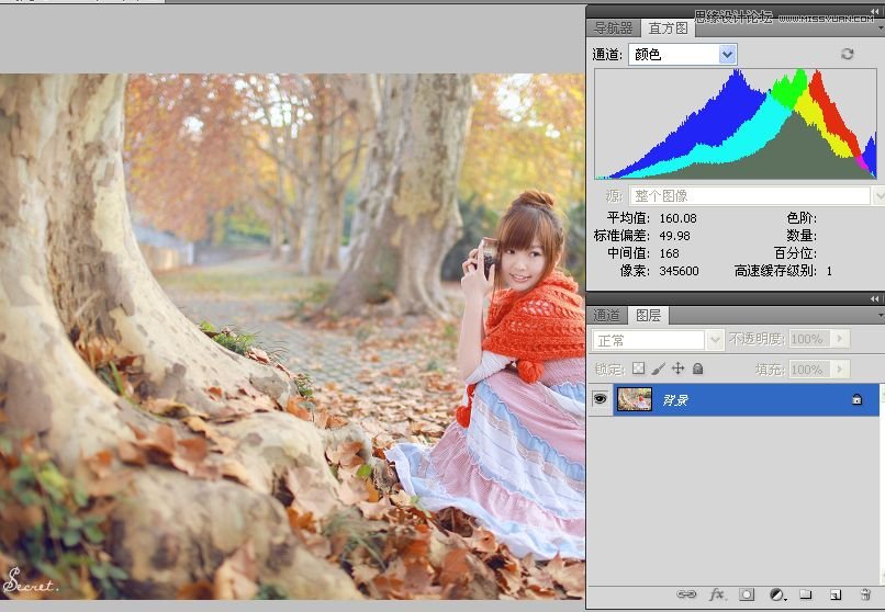 Photoshop详细解析直方图理论技巧