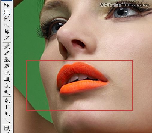 PhotoshopŮھϸĥƤ