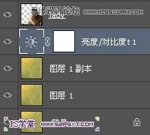 Photoshop合成和小鸟对话的美女教程