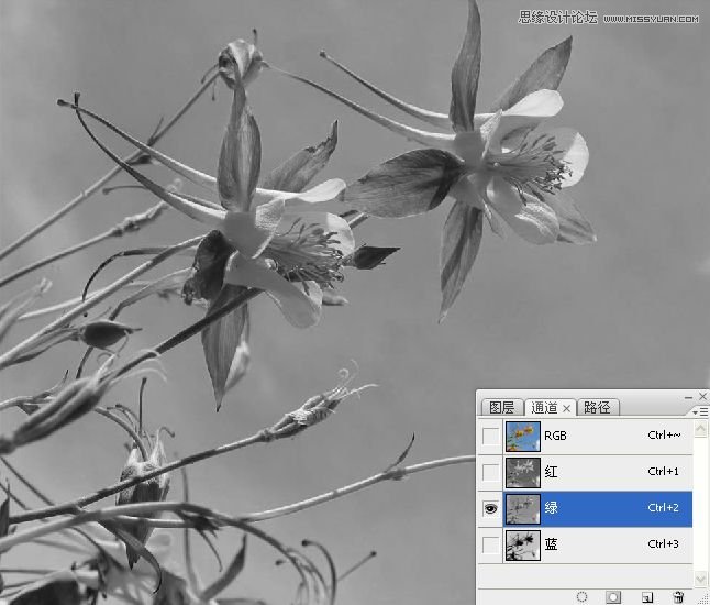 Photoshopɫܴͨӱ