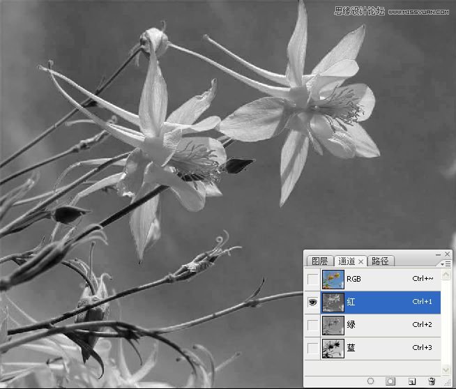 Photoshopɫܴͨӱ