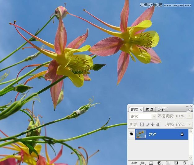 Photoshopɫܴͨӱ