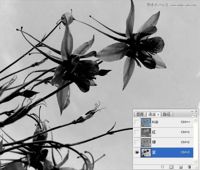 Photoshopɫܴͨӱ