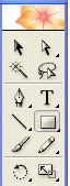 Illustrator񹤾߻дʵŮ̳