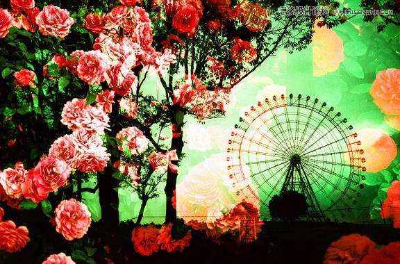 详细解析花花世界的重曝技巧
