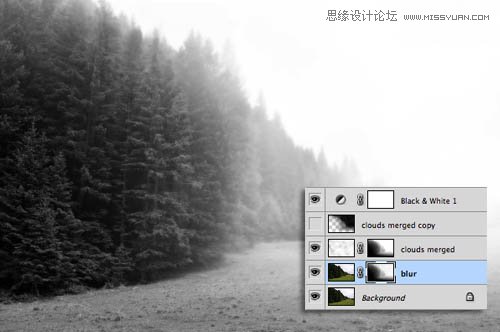 Photoshop给森林照片添加迷雾效果