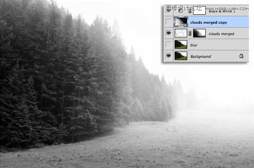 Photoshop给森林照片添加迷雾效果