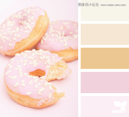 DonutDreams 配色设计:来源于生活与大自然