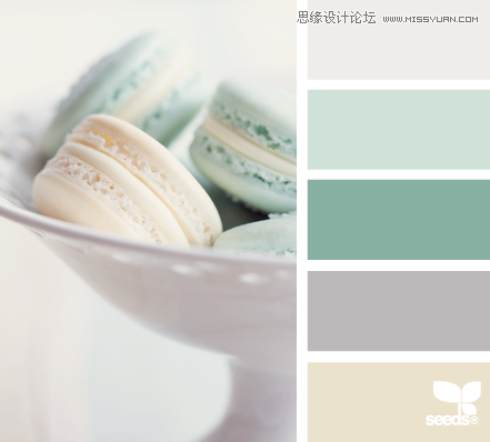 MacaronTones 配色设计:来源于生活与大自然