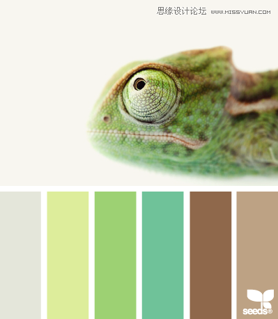 ColorProfile 配色设计:来源于生活与大自然