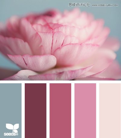 PetalledTints 配色设计:来源于生活与大自然